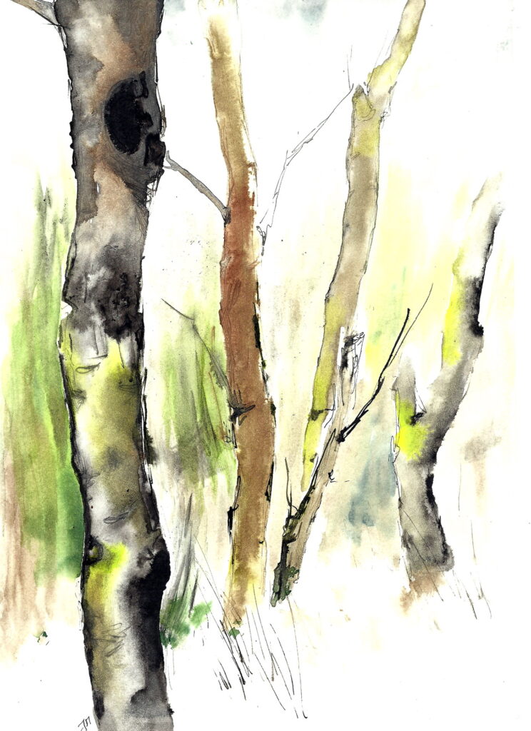 Mossed Omszale ink drawing by Joanna Migdał