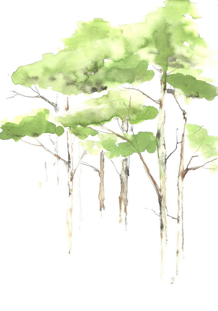 green tree ink drawing by Joanna Migdał
