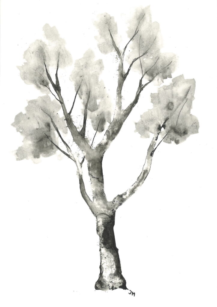 tree ink drawing 202 rysunek tuszem by Joanna Migdał