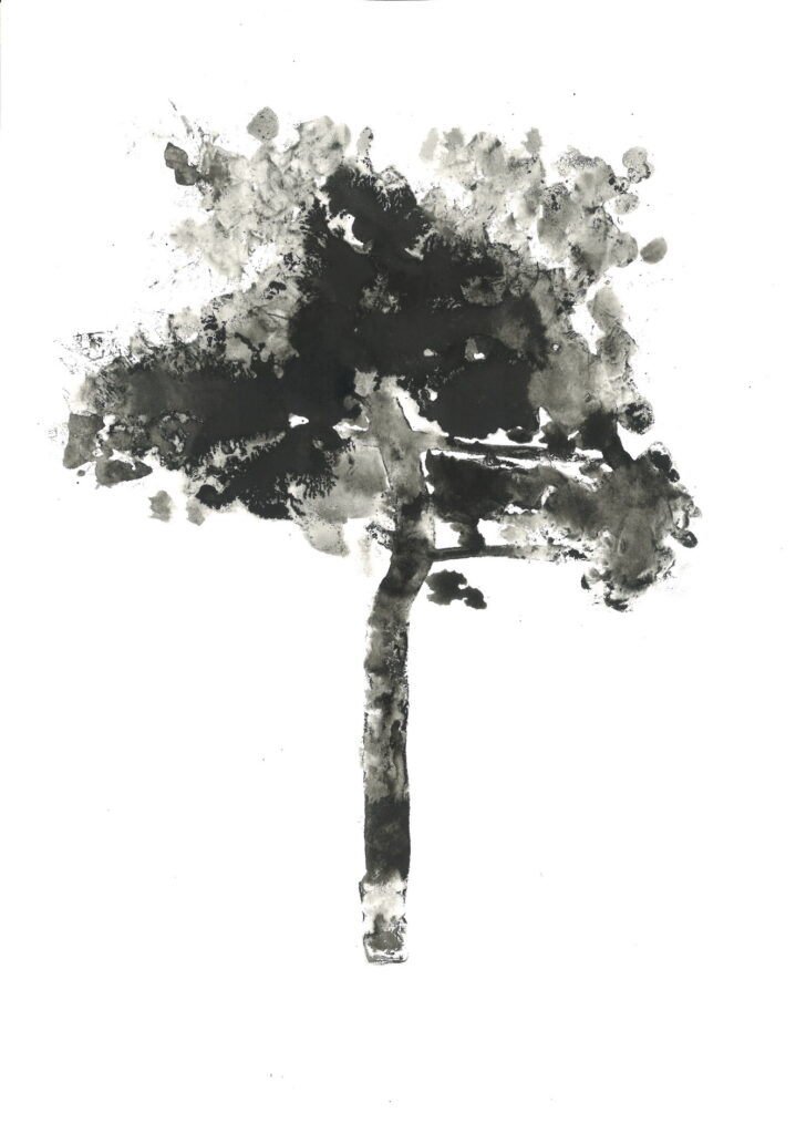 tree ink drawing 206 rysunek tuszem by Joanna Migdał