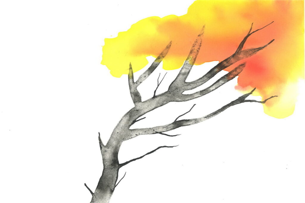 tree ink drawing 216 rysunek tuszem by Joanna Migdał