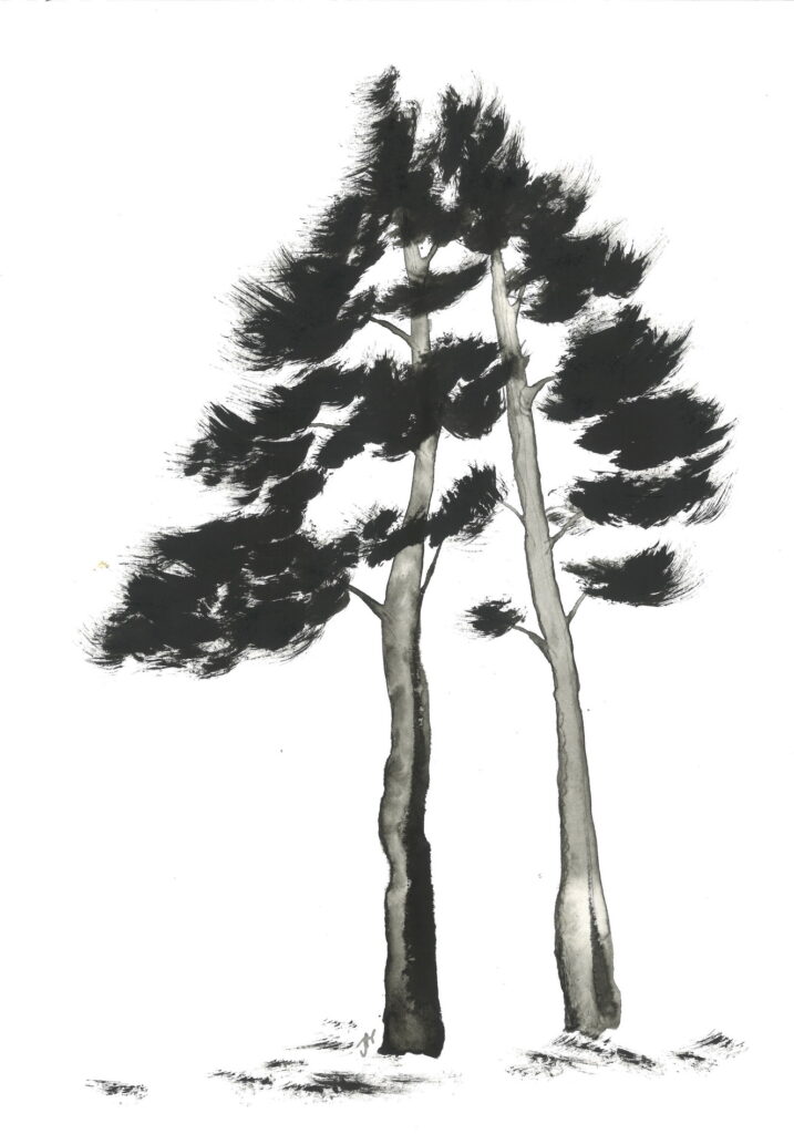 tree ink drawing 220 rysunek tuszem by Joanna Migdał