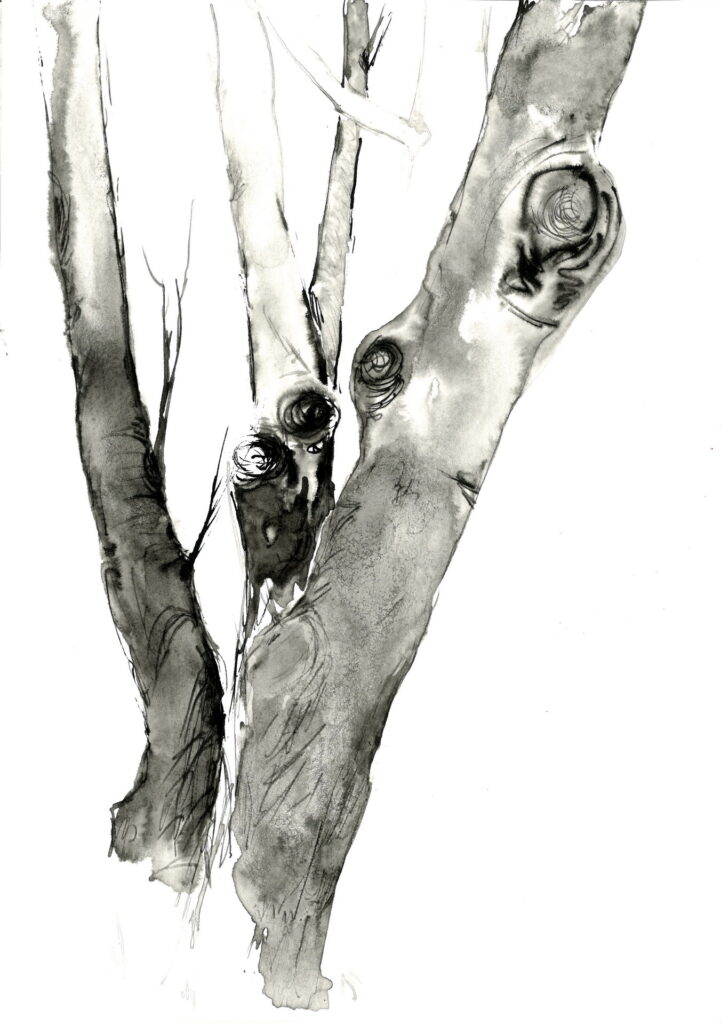tree ink drawing 261 rysunek tuszem by Joanna Migdał