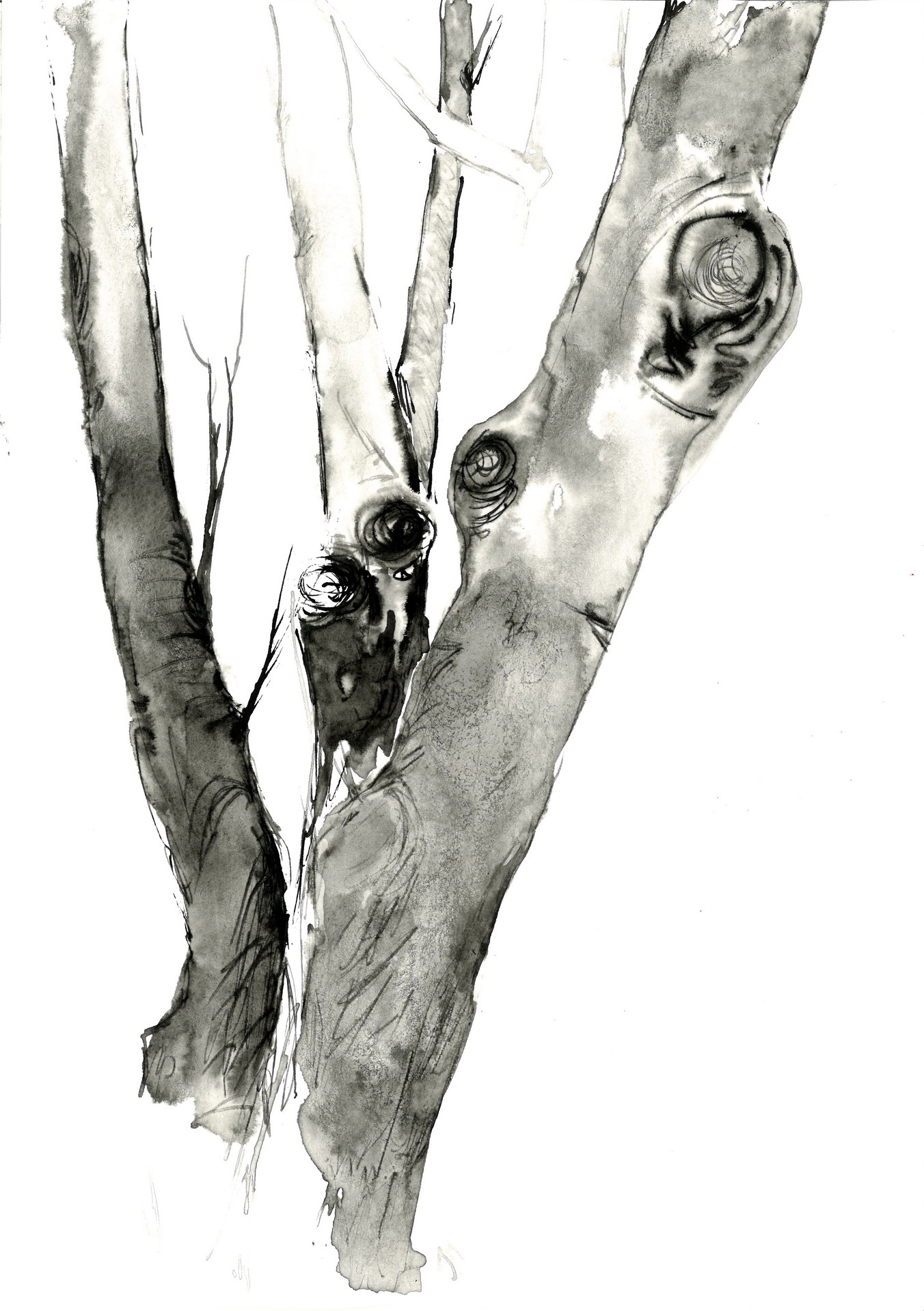 tree ink drawing 261 rysunek tuszem by Joanna Migdał