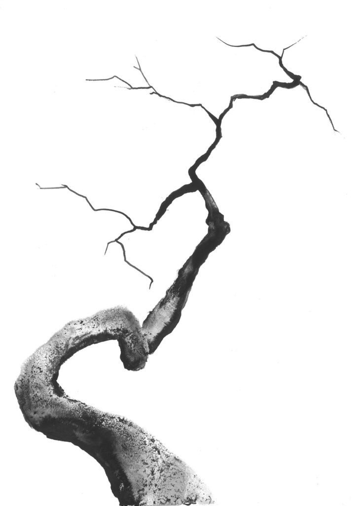 tree ink drawing 288