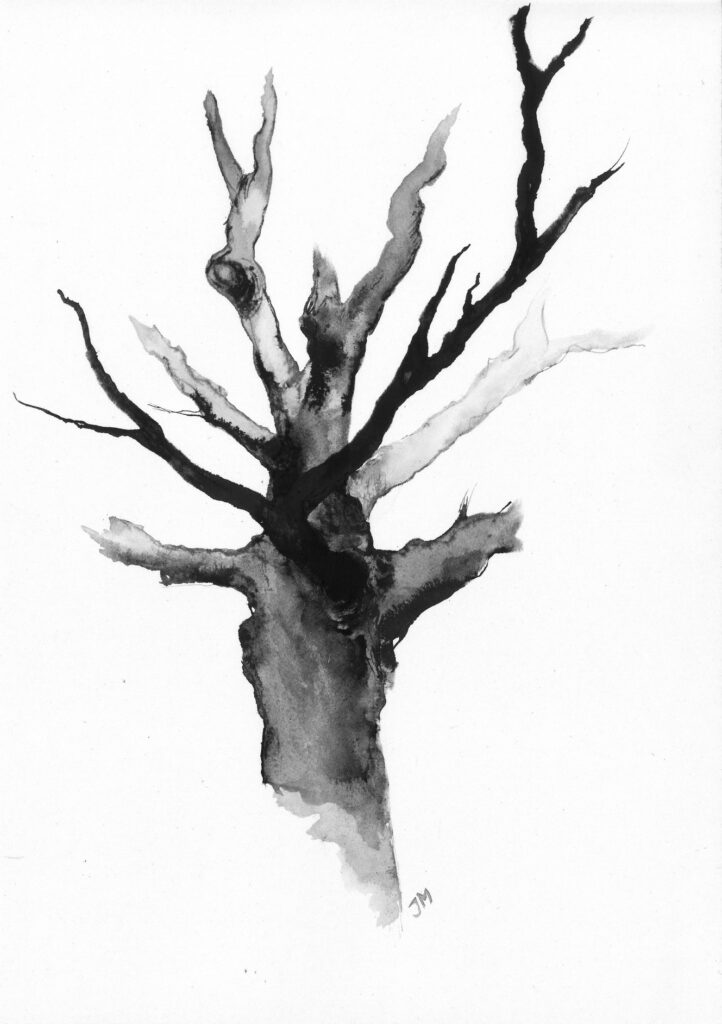 tree ink drawing 301 rysunek tuszem by Joanna Migdał