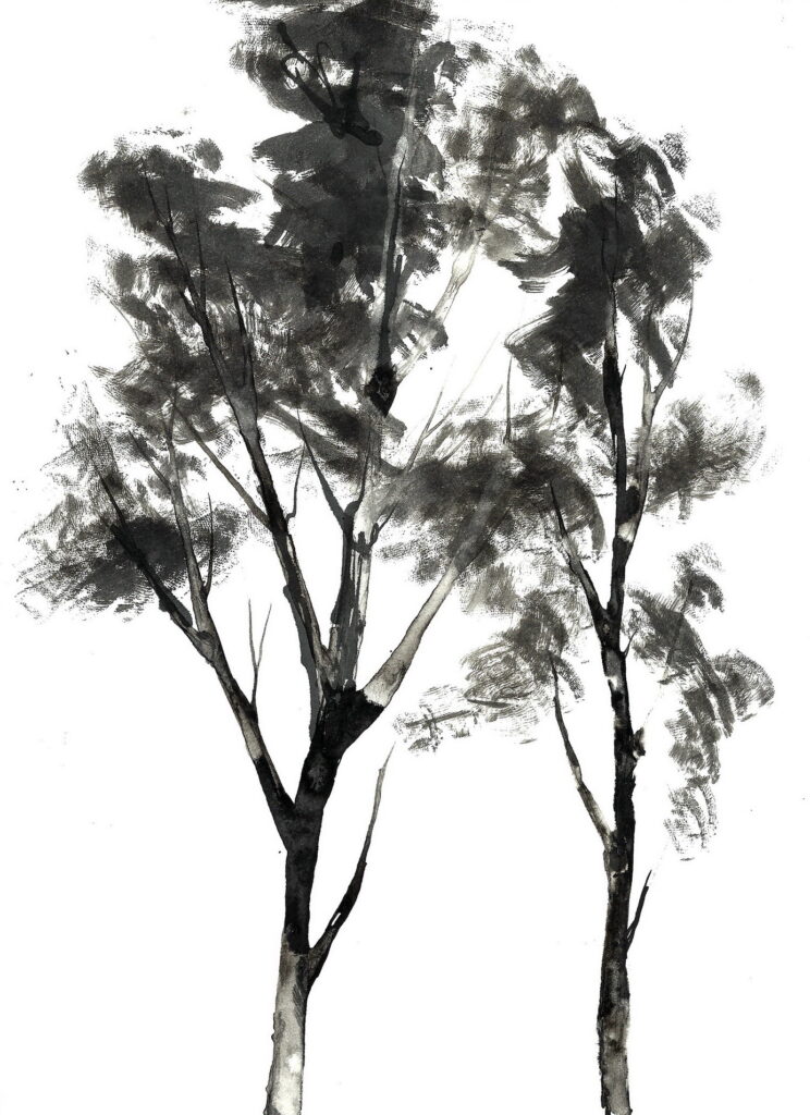 tree ink drawing 330 rysunek tuszem by Joanna Migdał