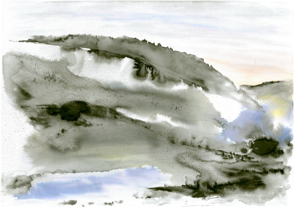 ink drawing rysunek tuszem joanna migdal
