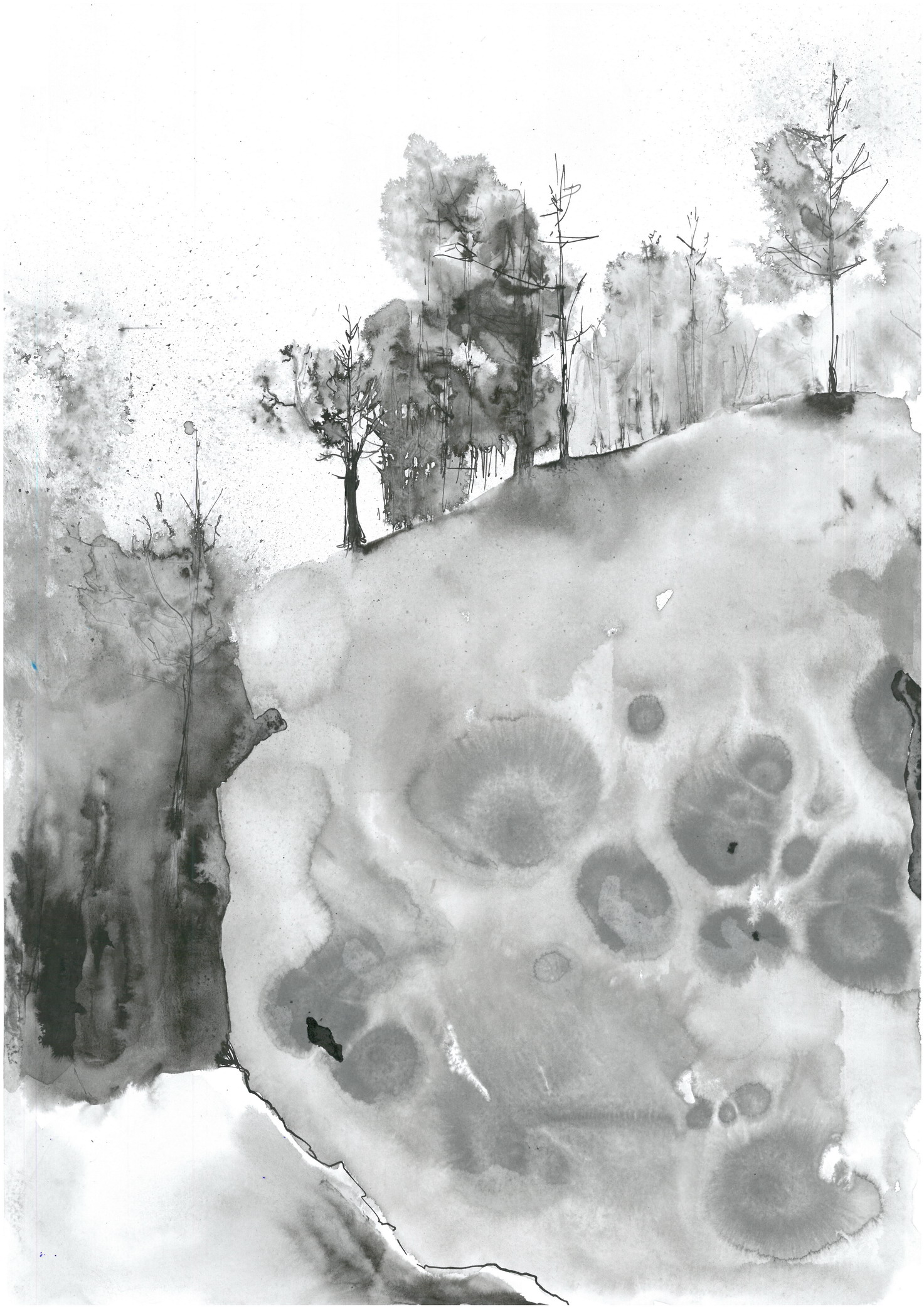Joanna Migdal rysunek tuszem ink drawing
