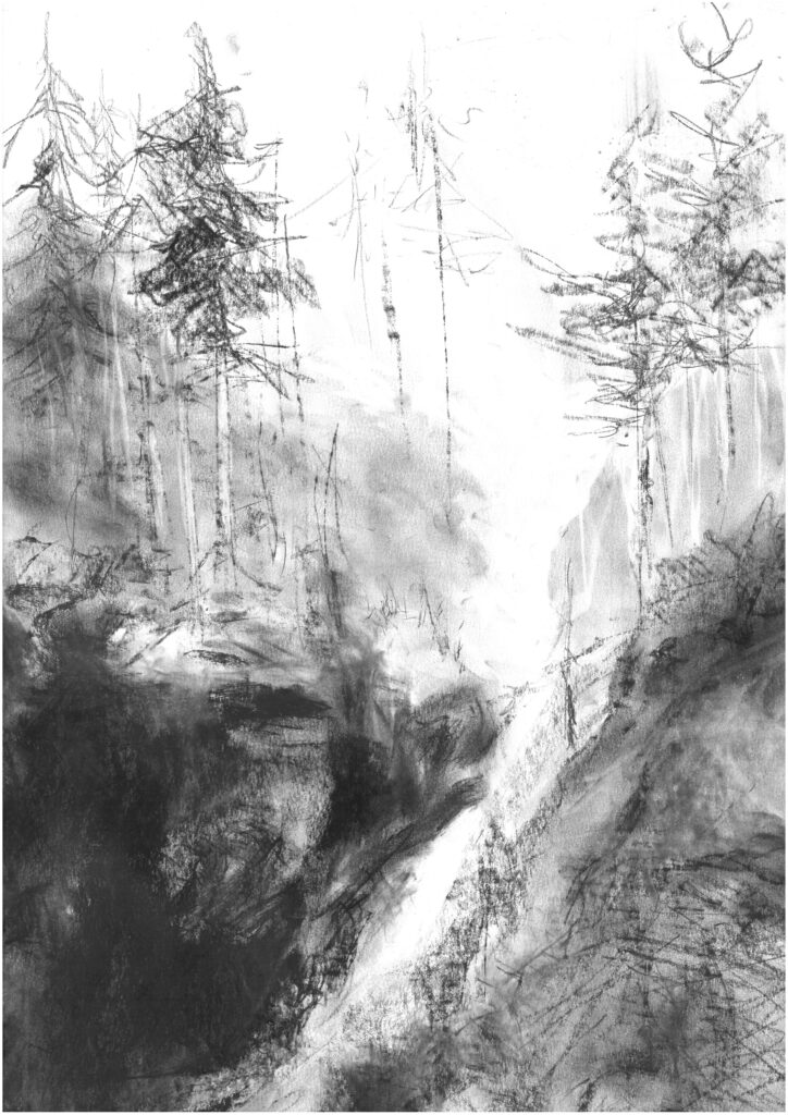 charcoal drawing by art associate